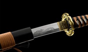 Ryū No Yaiba Katana Schwert (竜の刃) – Drachenklinge