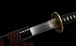 Tenshin Katana Schwert (天心) – Himmlisches Herz