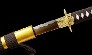 Ōgonryū Katana Schwert (黄金龍) – Goldener Drache