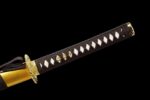 Ōgonryū Katana Schwert (黄金龍) – Goldener Drache